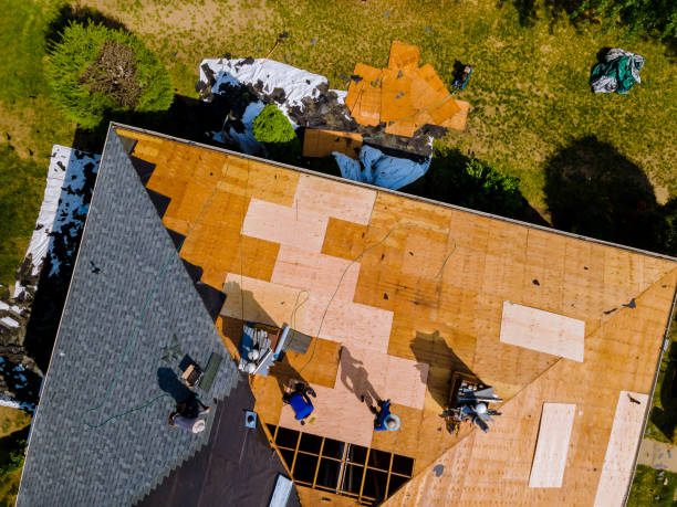 Best Metal Roofing Contractor  in Rowland, NC