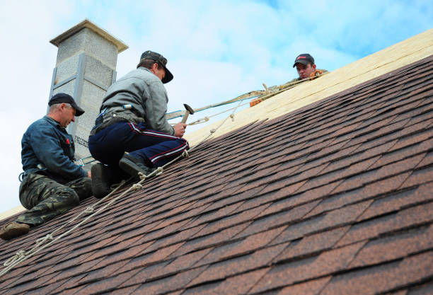 Best Roof Leak Repair  in Rowland, NC