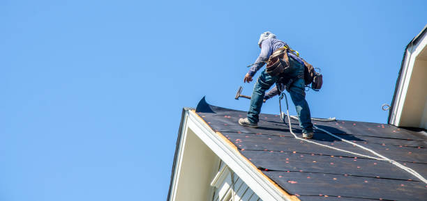 Best Roof Waterproofing Services  in Rowland, NC